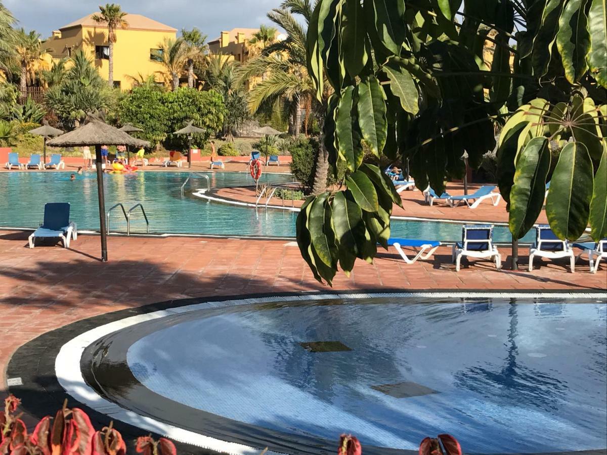 My Pretty Home - Lovely And Spacious Surrounded By Tropical Gardens - Private Covered And Uncovered Terrace - Pool - Parking - Free Fibre Optic Internet Коральео Экстерьер фото