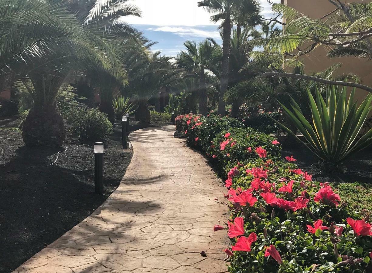My Pretty Home - Lovely And Spacious Surrounded By Tropical Gardens - Private Covered And Uncovered Terrace - Pool - Parking - Free Fibre Optic Internet Коральео Экстерьер фото