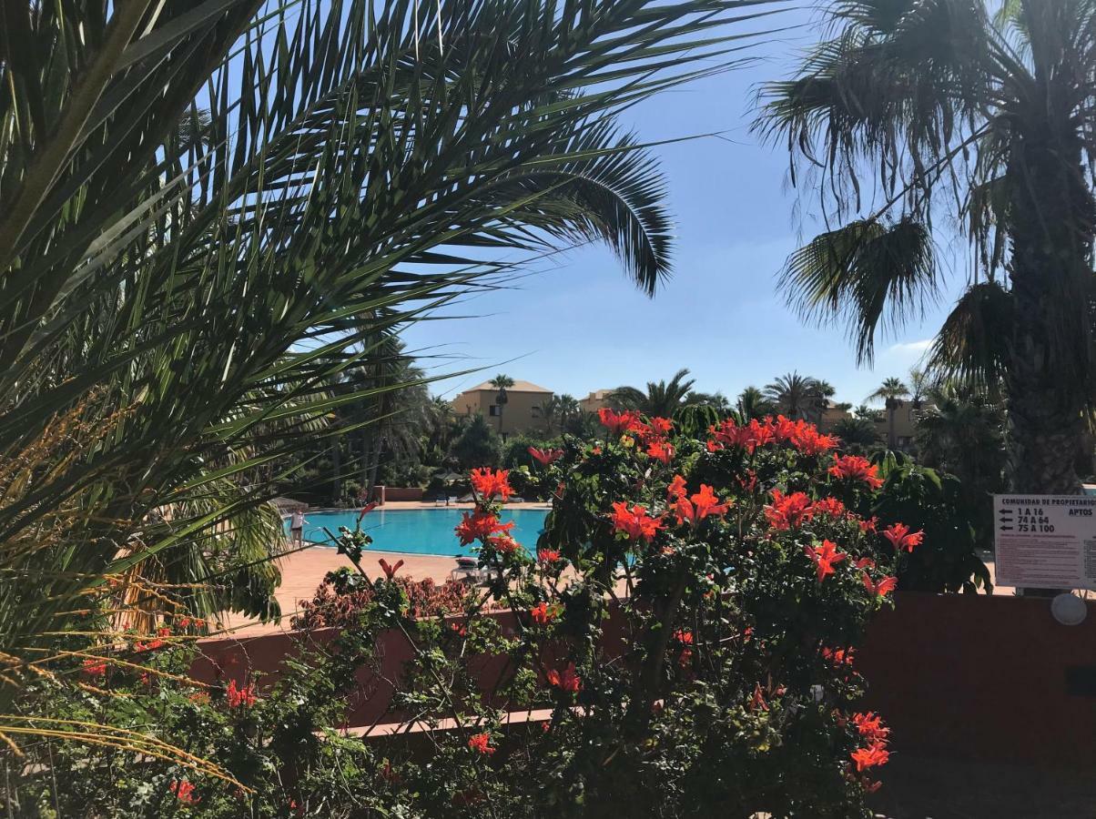 My Pretty Home - Lovely And Spacious Surrounded By Tropical Gardens - Private Covered And Uncovered Terrace - Pool - Parking - Free Fibre Optic Internet Коральео Экстерьер фото